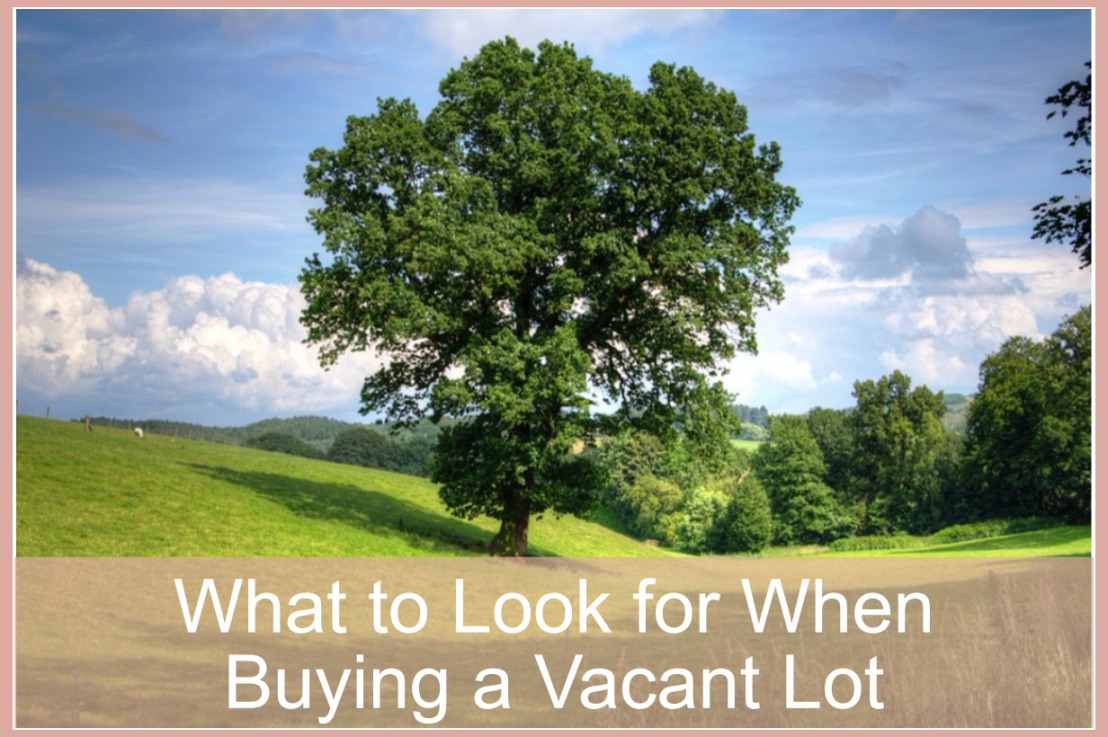What to Look for When Buying a Vacant Lot
